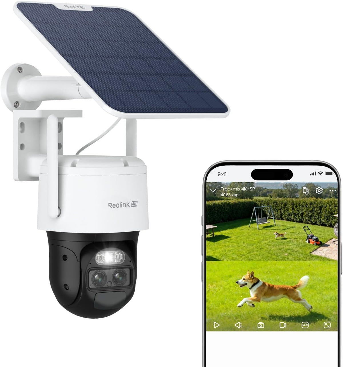 cama, Reolink, Reolink 4K 360° PTZ Camara Vigilancia Exterior